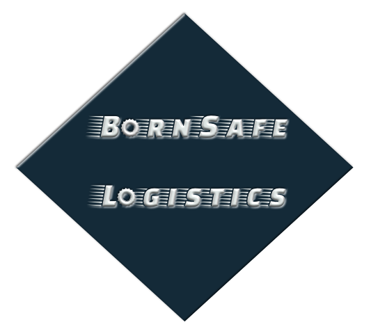 BORNSAFE LOGISTICS LLC logo