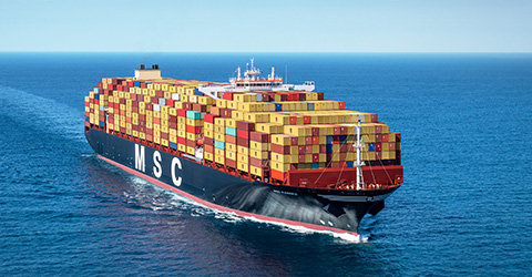 Careers At MSC - Mediterranean Shipping Company