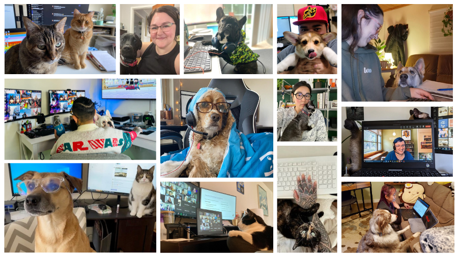 Careers at Trupanion