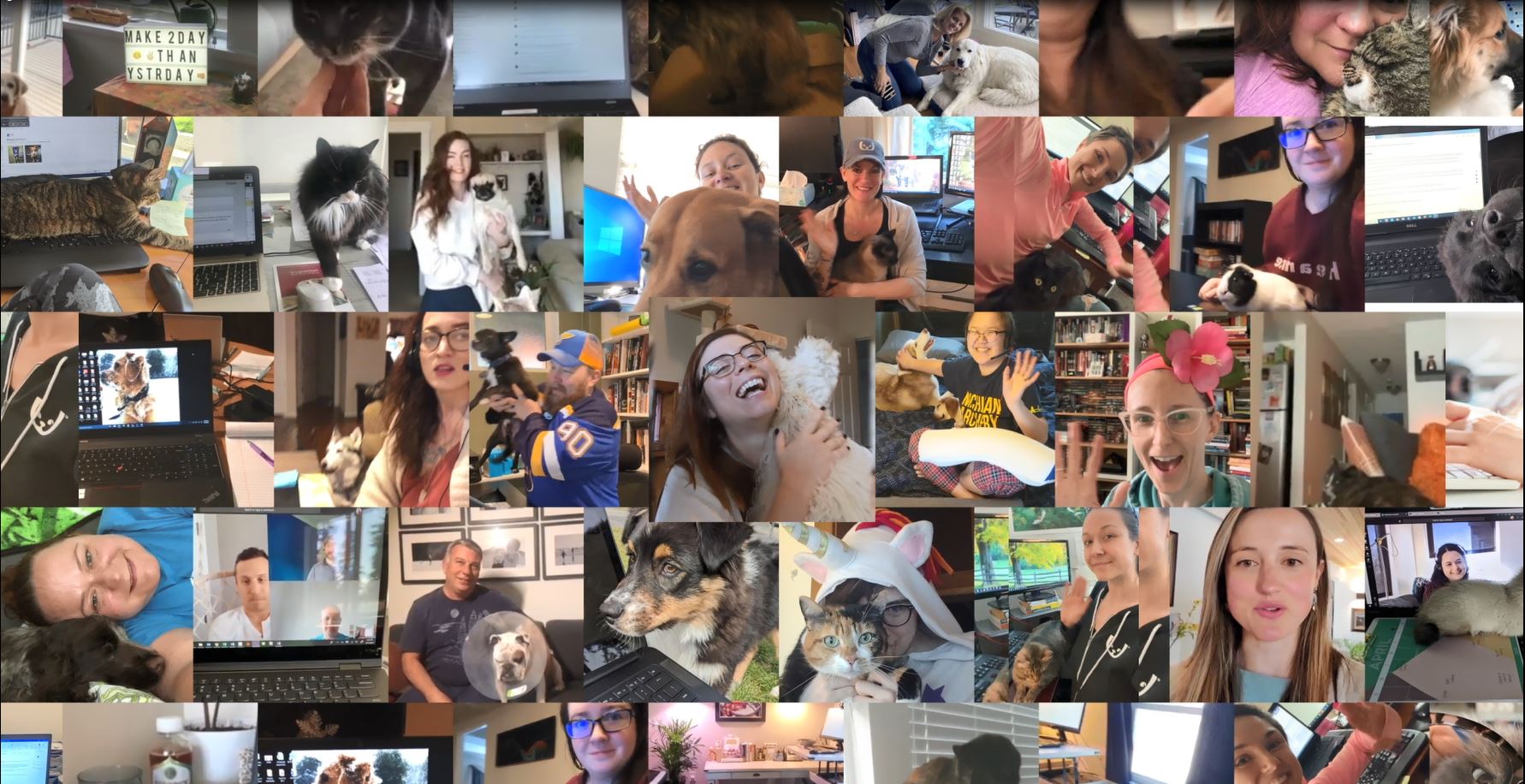 Carrières chez Trupanion