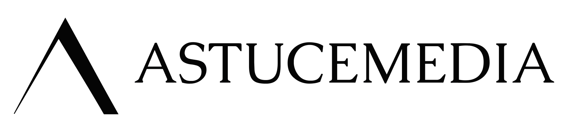 Astucemedia logo