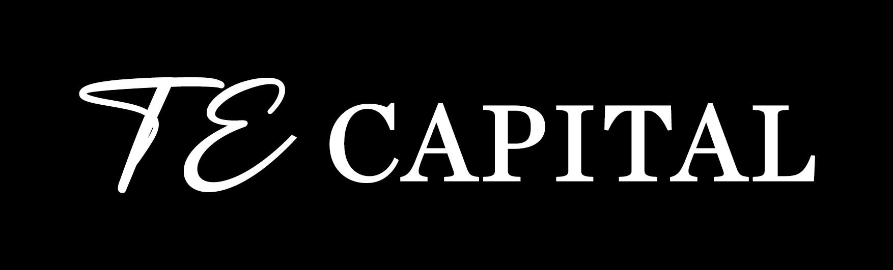 TE Capital Partners logo