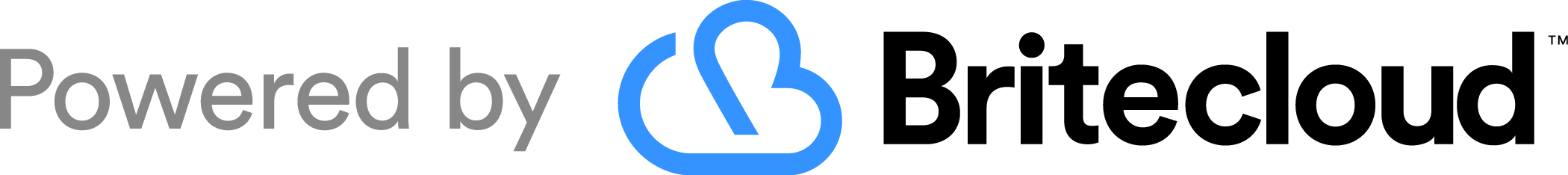 Britecloud logo