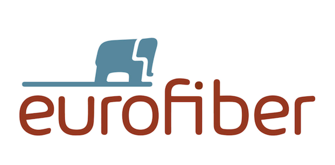 Eurofiber’s Data Warehouse job post on Arc’s remote job board.