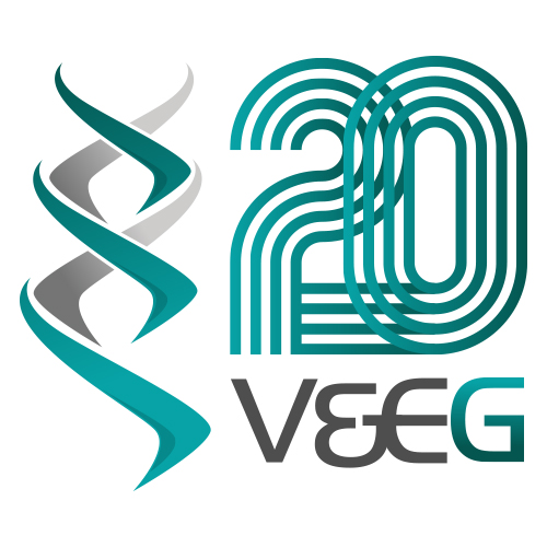 Validation & Engineering Group