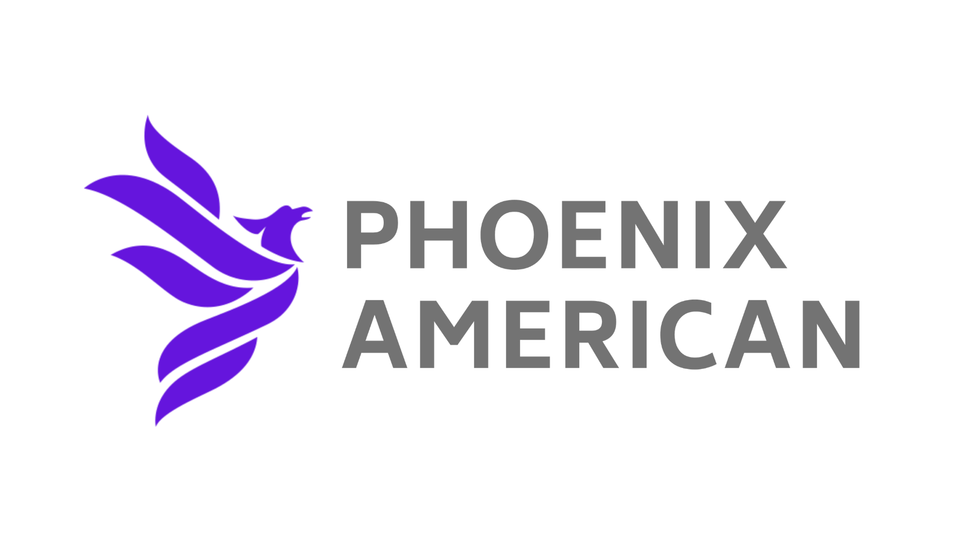 Phoenix American Inc