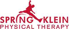 Spring Klein Physical Therapy logo