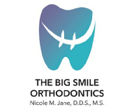 The Big Smile logo