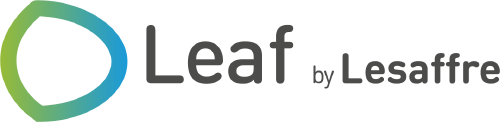Leaf logo