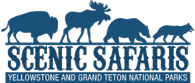 Scenic Safaris logo