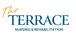 The Terrace logo