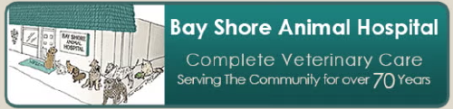 Bayshore Animal Hospital logo