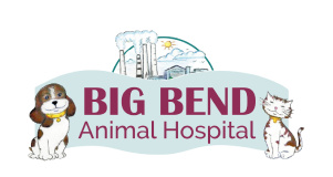 Big Bend Animal Hospital logo