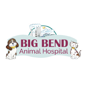 DVM Student Externship - [Big Bend Animal Hospital] at Alliance Animal Health