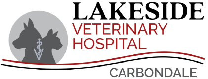 (DO NOT USE) Lakeside Veterinary Clinic logo