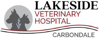 Lakeside Veterinary Clinic logo