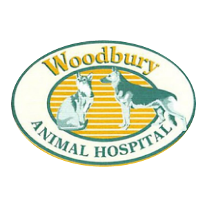 DVM Student Externship - Woodbury Animal Hospital at Alliance Animal Health