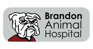 Alliance Animal Health logo