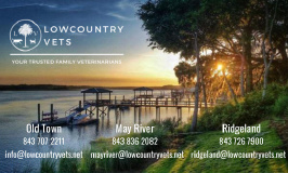 Lowcountry Vets at Ridgeland logo