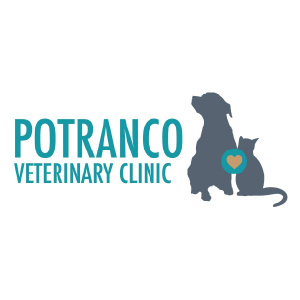 DVM Student Externship - Potranco Veterinary Clinic at Alliance Animal Health