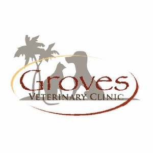 Associate Veterinarian at Alliance Animal Health