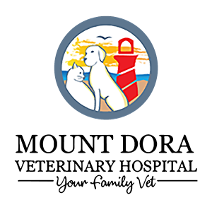 Associate Veterinarian at Alliance Animal Health