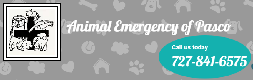 Animal Emergency of Pasco logo