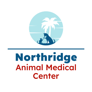 DVM Student Externship - Northridge Animal Medical Center at Alliance Animal Health