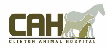 Clinton Animal Hospital - LA logo