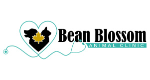 Bean Blossom Animal Clinic logo