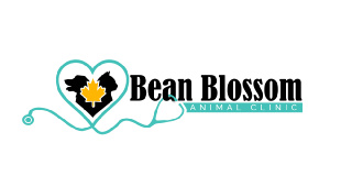 Bean Blossom Animal Clinic logo