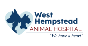 West Hempstead Animal Hospital logo