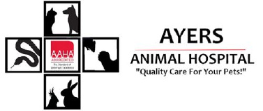Ayers Animal Hospital logo