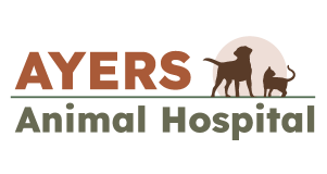 Ayers Animal Hospital logo