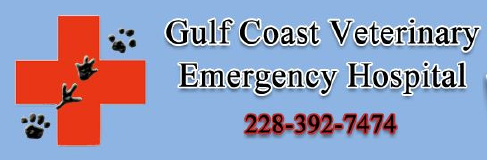 Gulf Coast Veterinary Emergency Hospital logo
