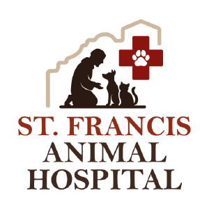 DVM Student Externship - [St. Francis Animal Hospital - Augusta] at Alliance Animal Health