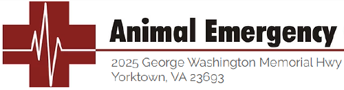 Animal Emergency Center - Yorktown logo