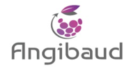 Angibaud logo