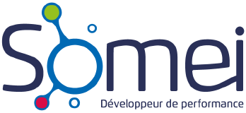 Veolia Environnement SA logo