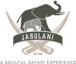 Jabulani logo