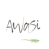 Awasi Atacama logo