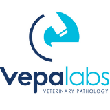 Vepalabs logo