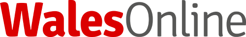 WalesOnline logo