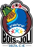 du Bois-joli logo