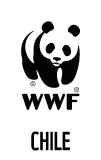 World Wildlife Fund - Chile logo