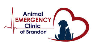 Animal Emergency Clinic of Brandon