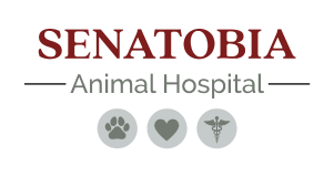 Senatobia Animal Hospital