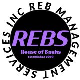 REB Solutions INC logo