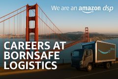 BORNSAFE LOGISTICS LLC logo