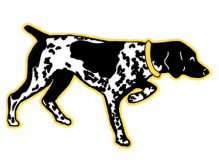 Pointer Express LLC logo